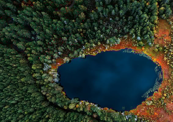 IIGCC 11 2024 COP29 cover image